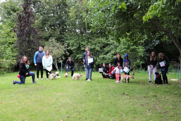 Puppy School (for puppies up to 6 months) | Rathfarnham | Ballinteer