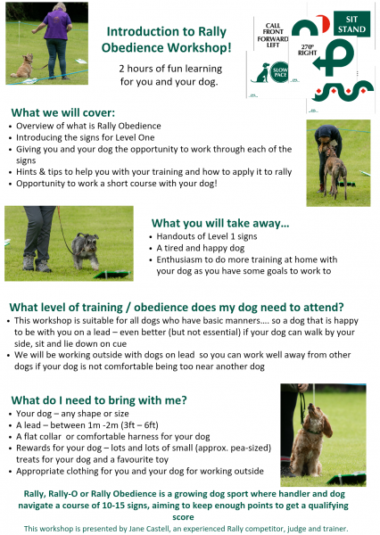Rally Obedience