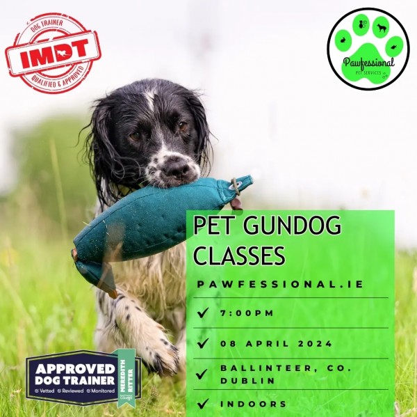 Pet Gundog