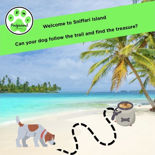 Sniffari Island Challenge