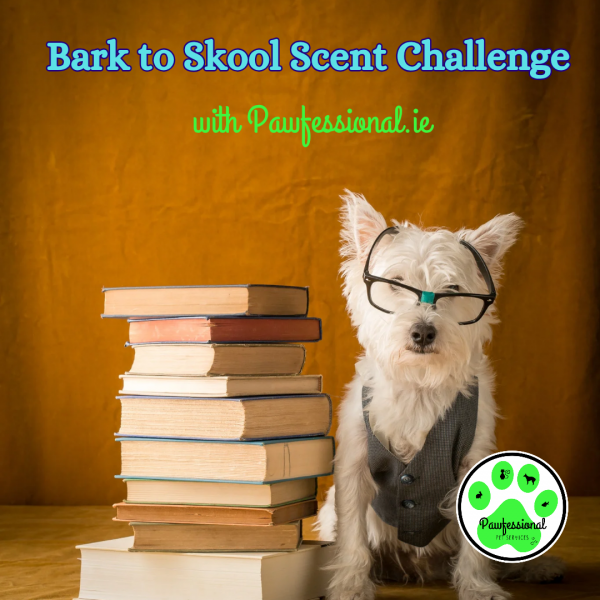 Bark to Skool! Online Scent Detection
