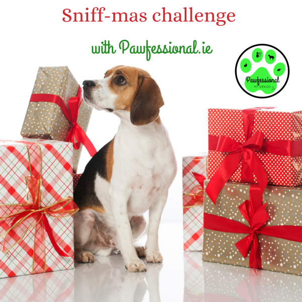 Sniff-mas Challenge